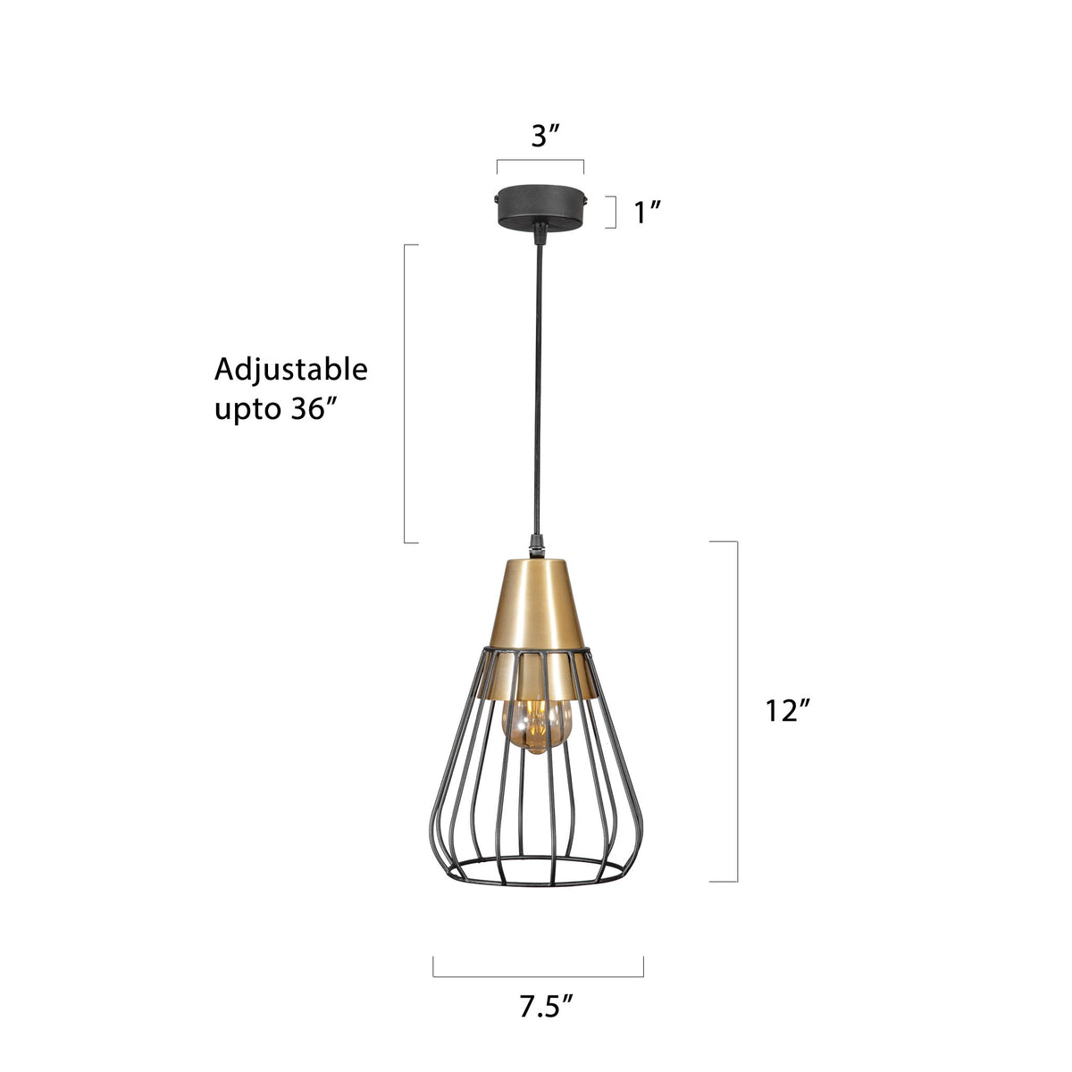 Buy Night Sky Pendant Light India