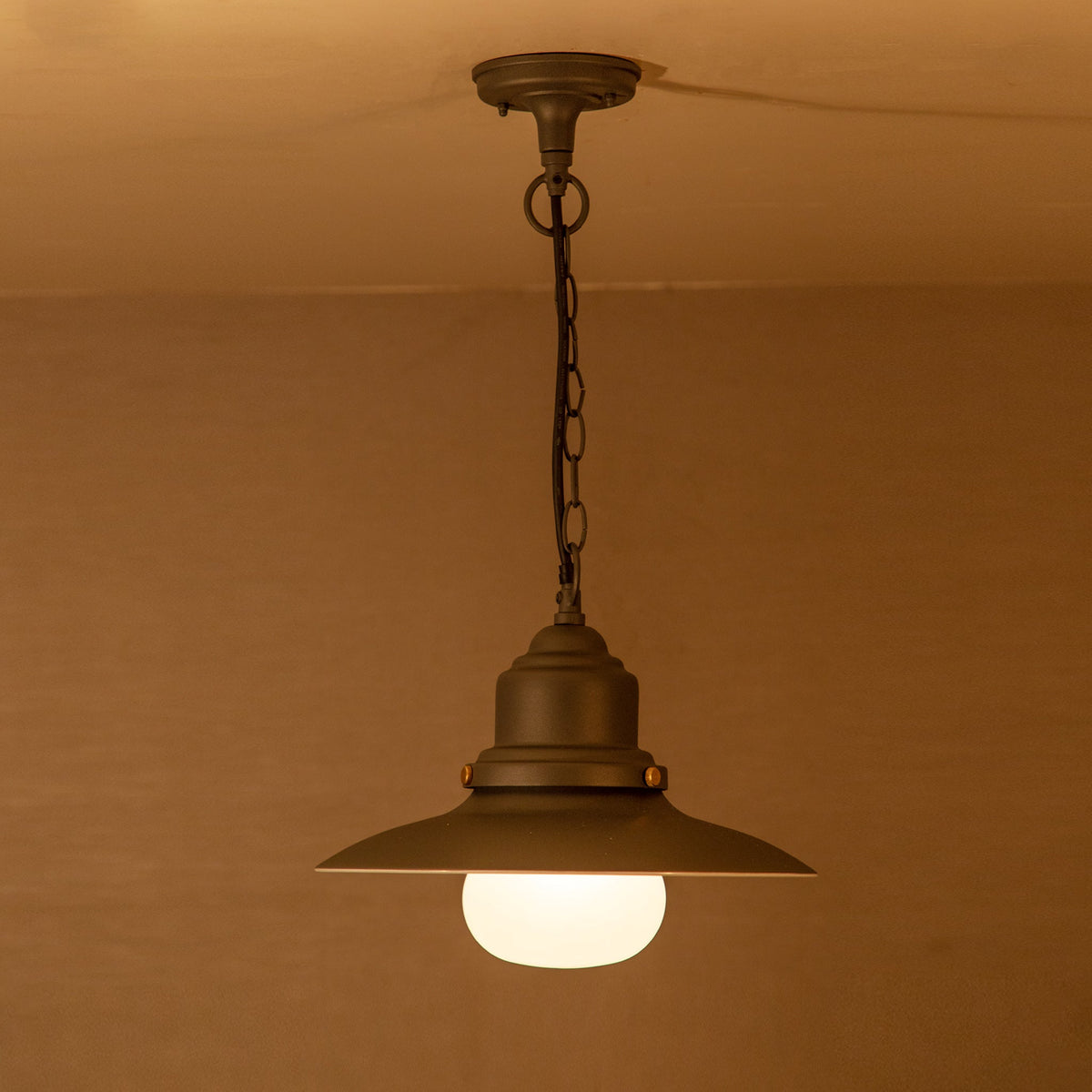 Buy Old School Outdoor Pendant Light online