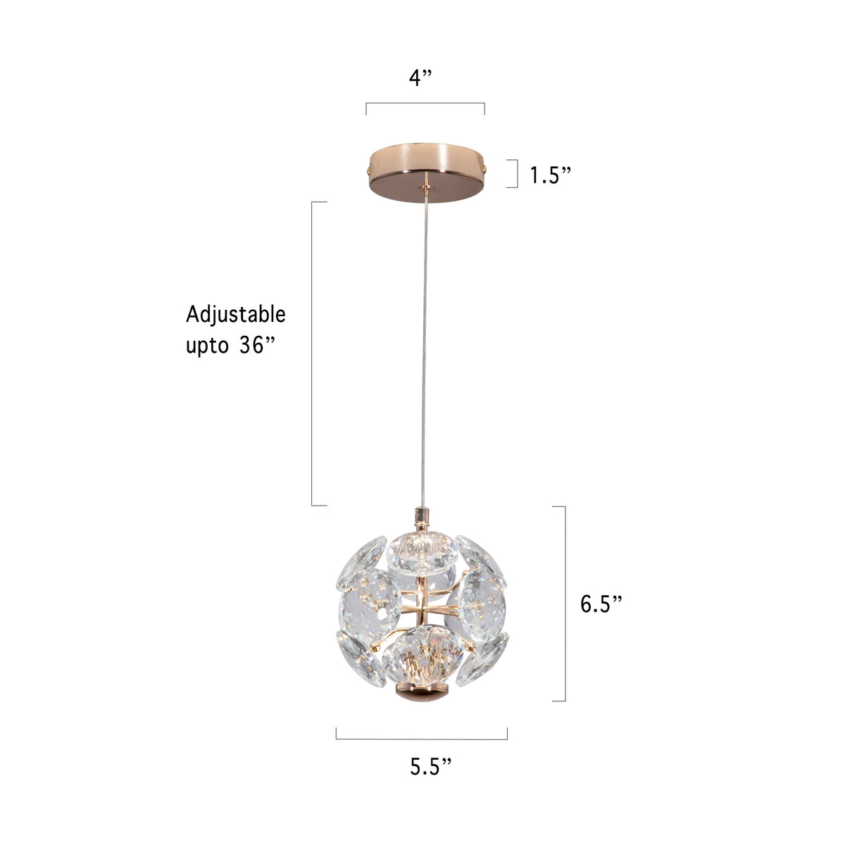 Buy Rainbow LED Pendant Light showroom