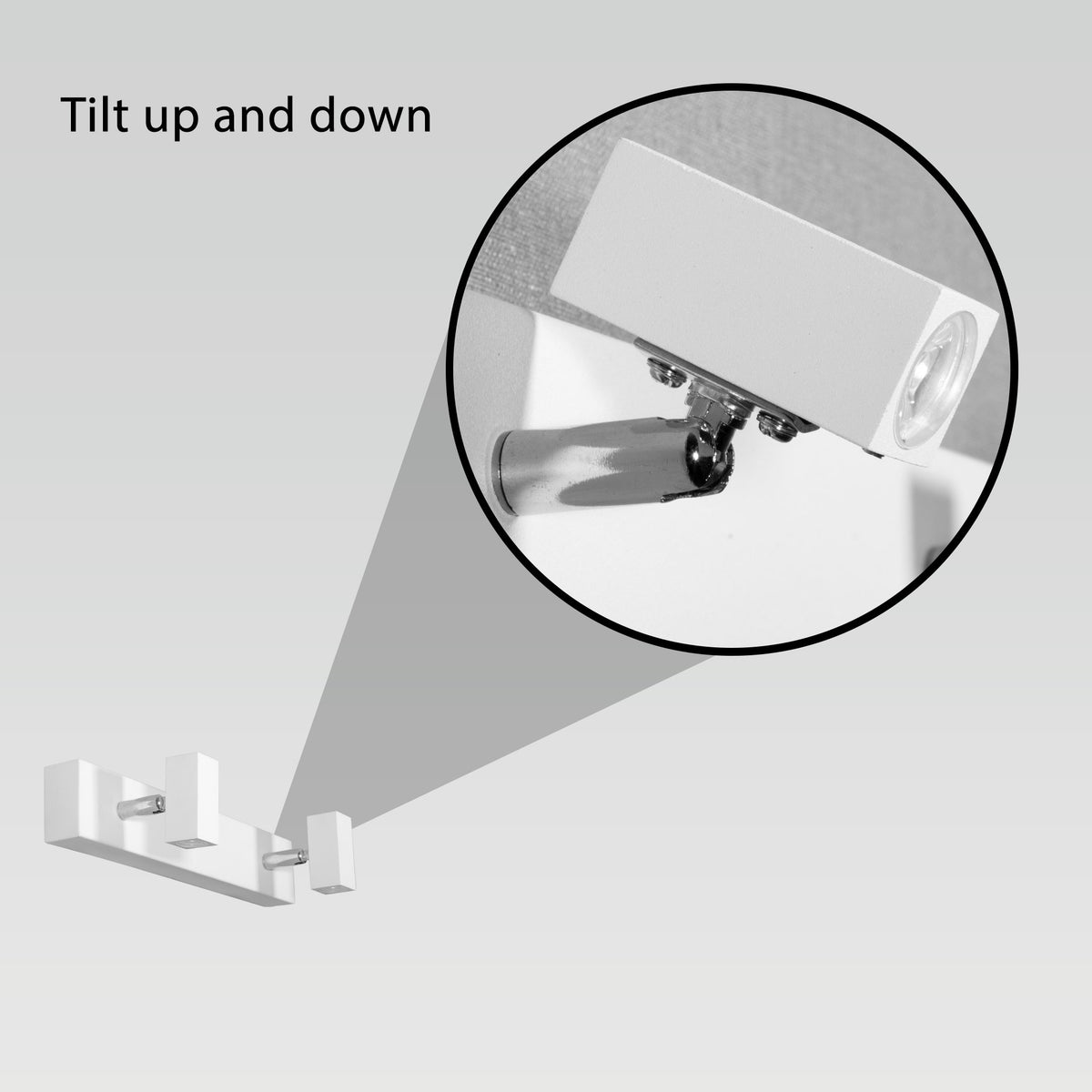 Buy Skan Double LED Picture Light Store
