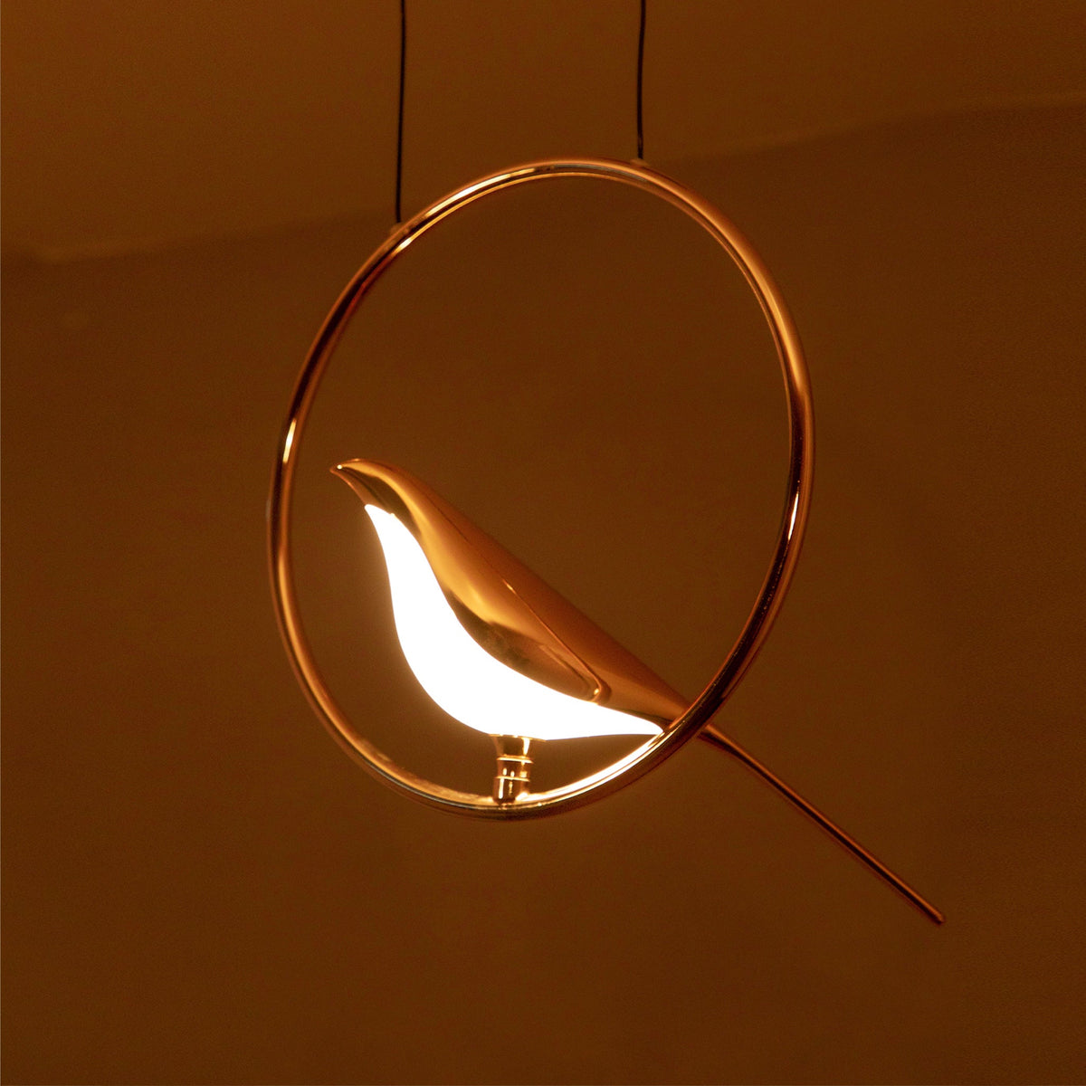 Buy Sparrow LED Pendant Light Bangalore