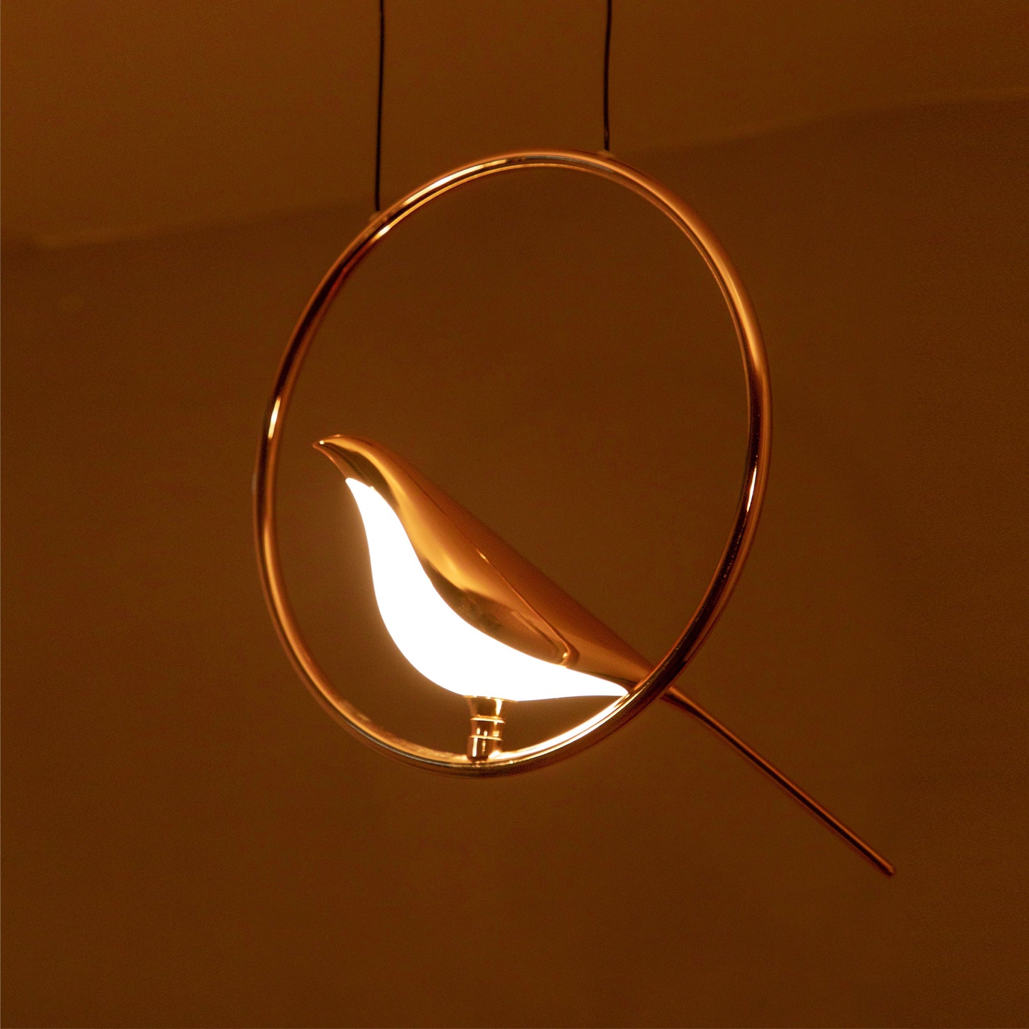 Shop Sparrow LED Pendant Light online