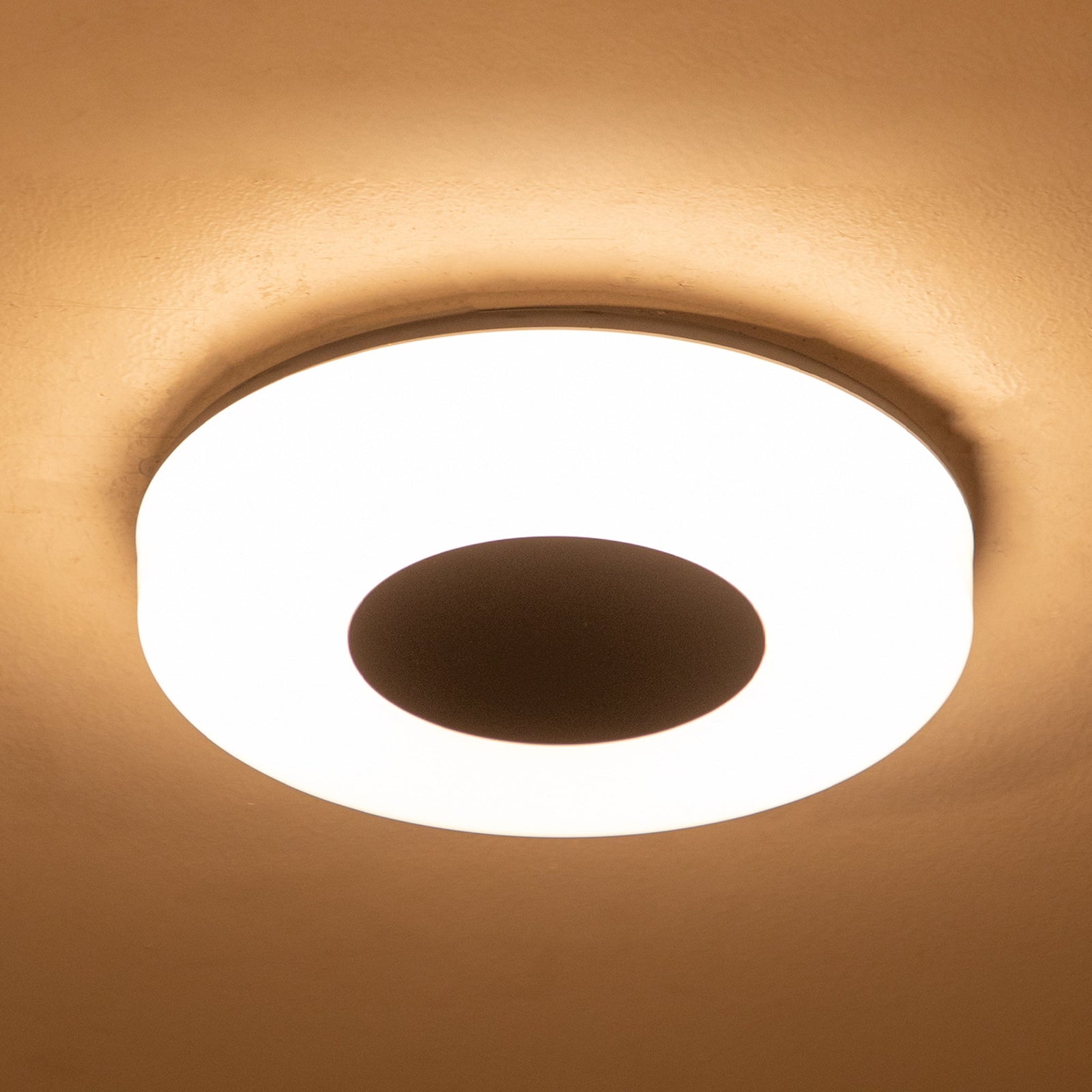 Shop Uncomplicated Medium Outdoor LED Ceiling Light online