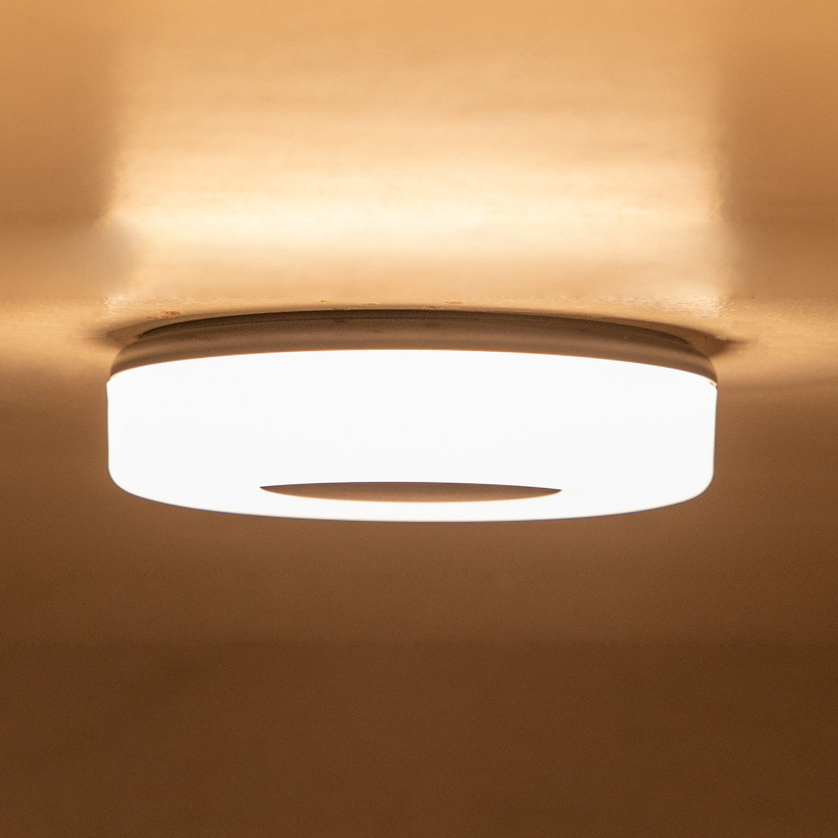 Buy Uncomplicated Medium Outdoor LED Ceiling Light online