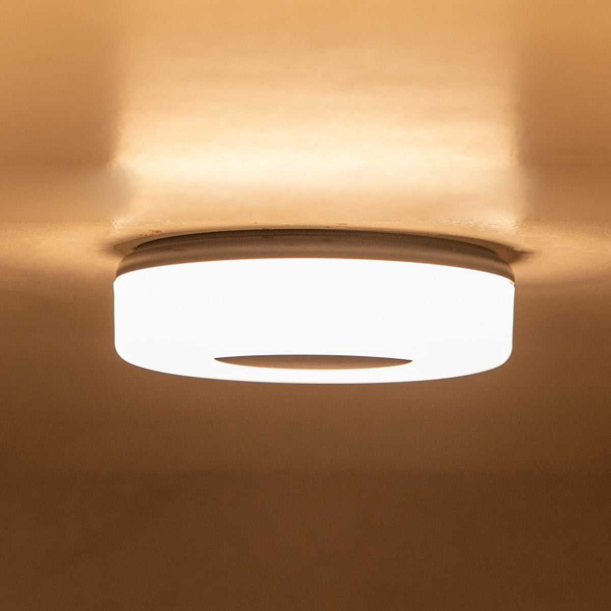 Buy Uncomplicated Small Outdoor LED Ceiling Light online