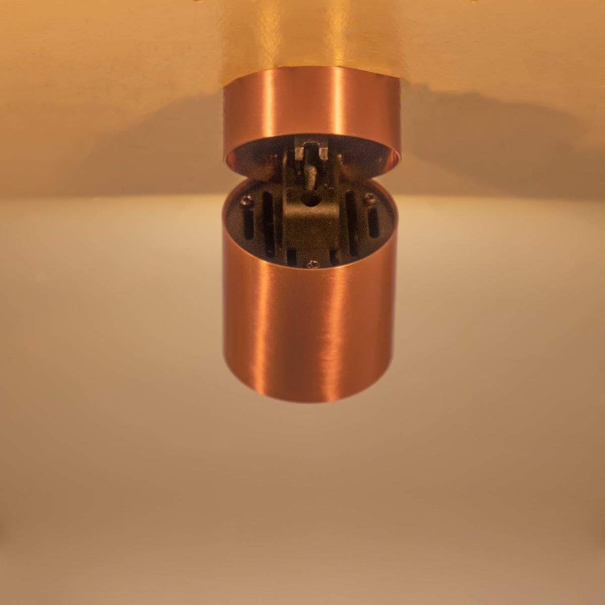 Buy Veyron Copper Adjustable LED Spot Light India