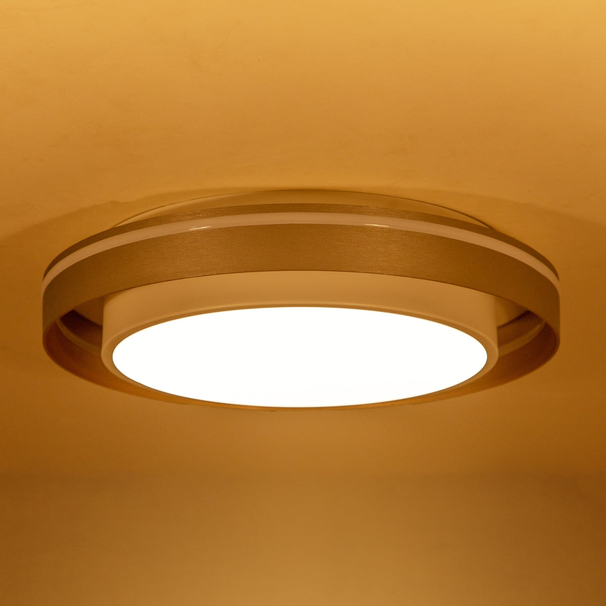 Shop All in One Smart LED Chandelier India