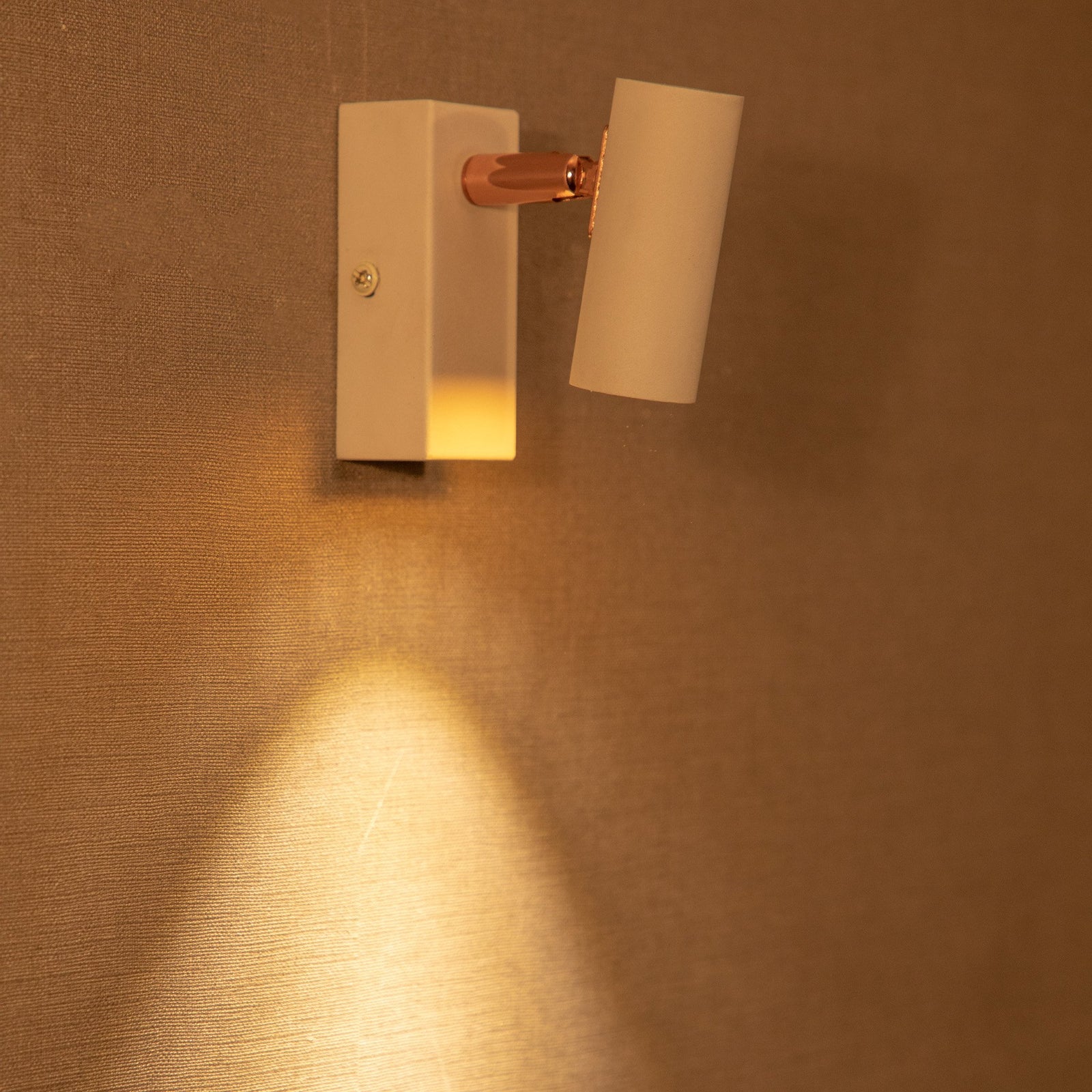 Shop Alaska Single LED Picture Light online