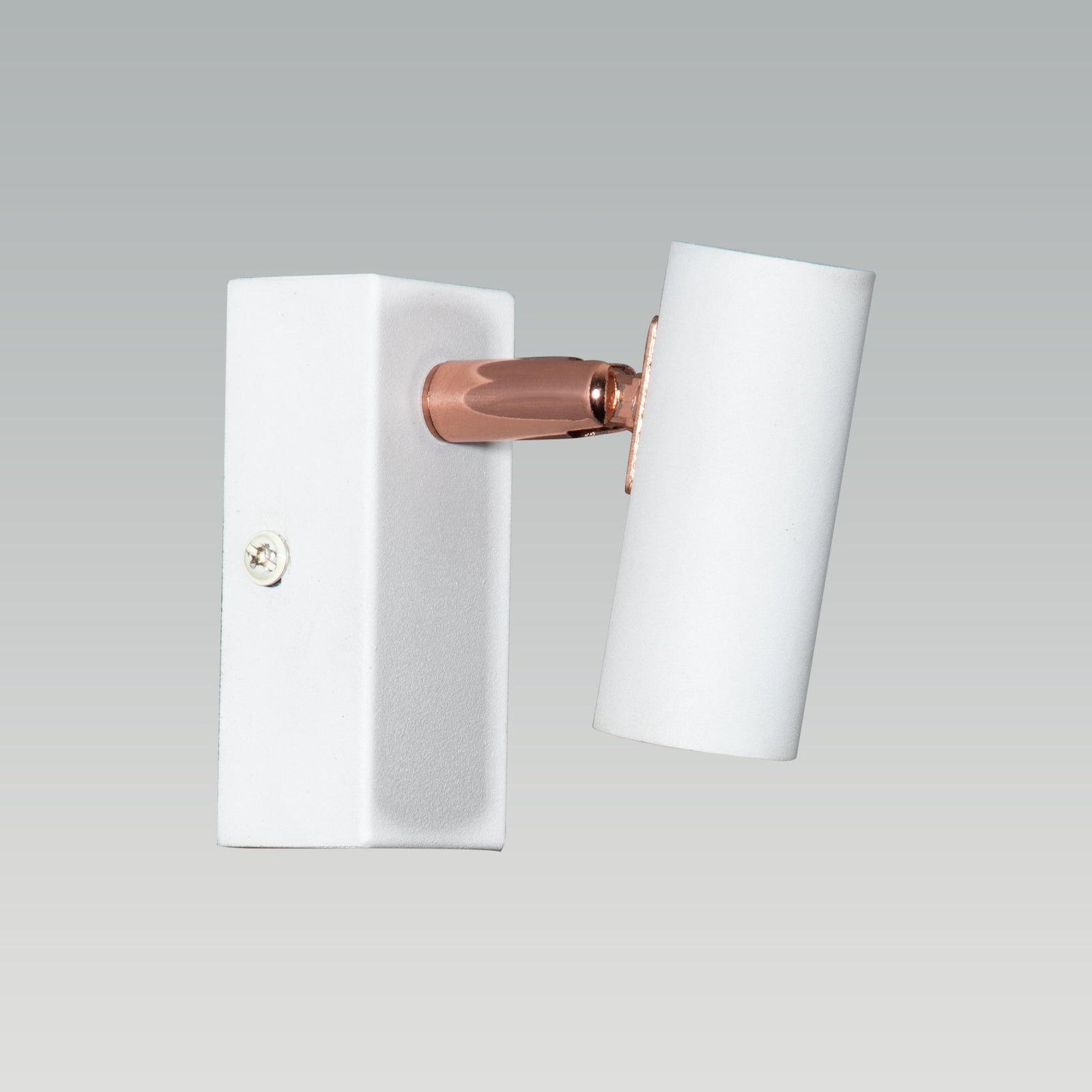 Shop Alaska Single LED Picture Light online