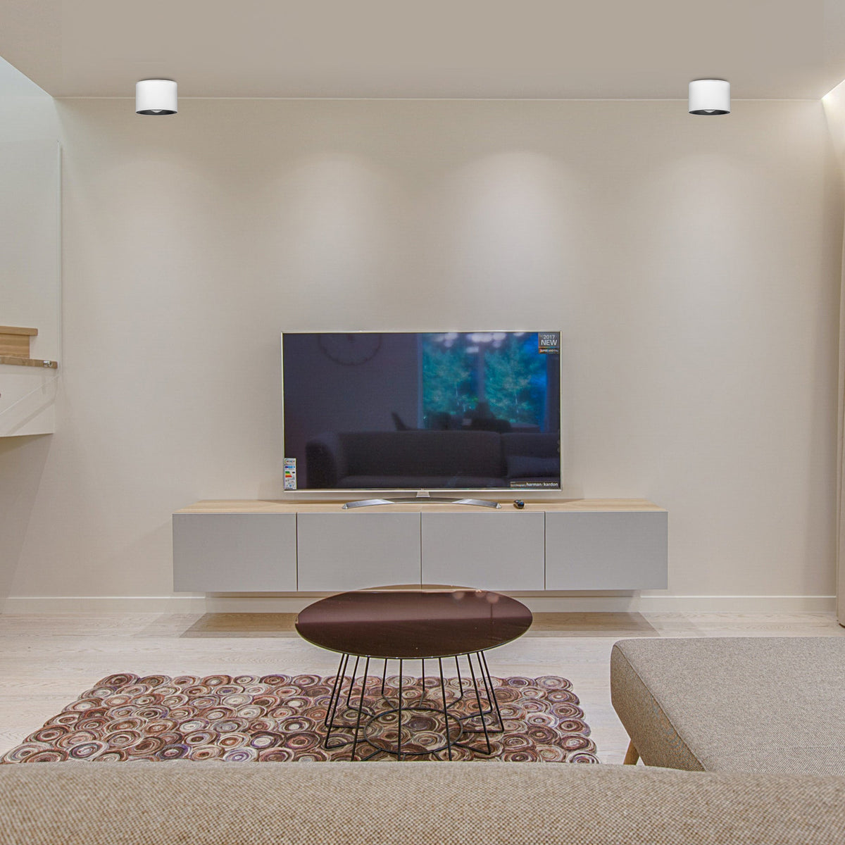Alpen White LED Surface Light