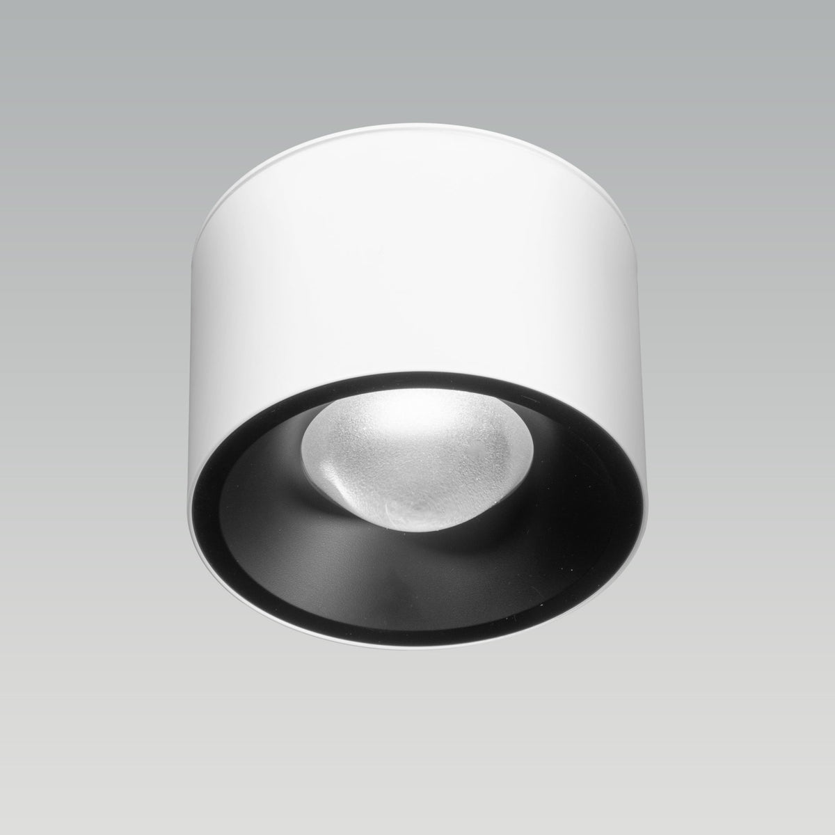 Alpen White LED Surface Light