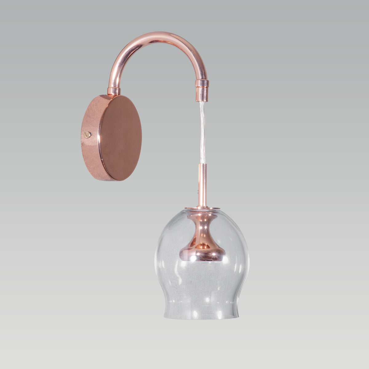 Apple of My Eye LED Wall Light