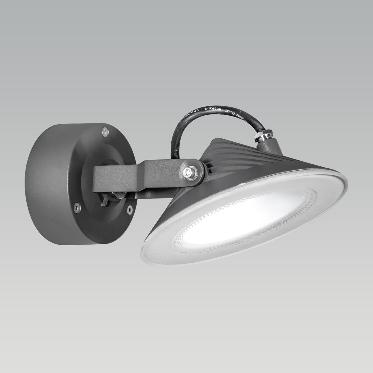 Shop Focus Me Outdoor LED Wall Light online