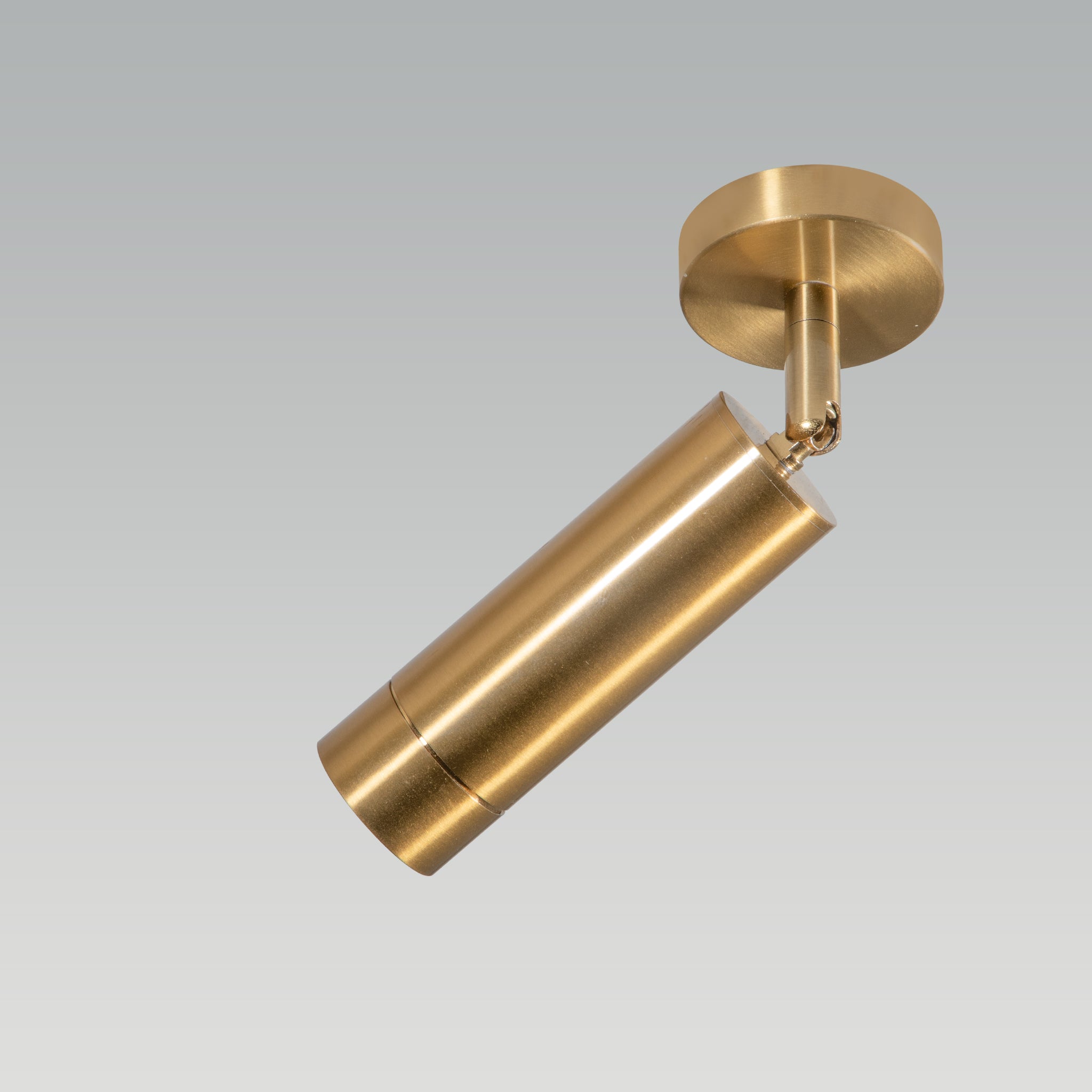Germany Brass Adjustable LED Spot Light | Light & Living