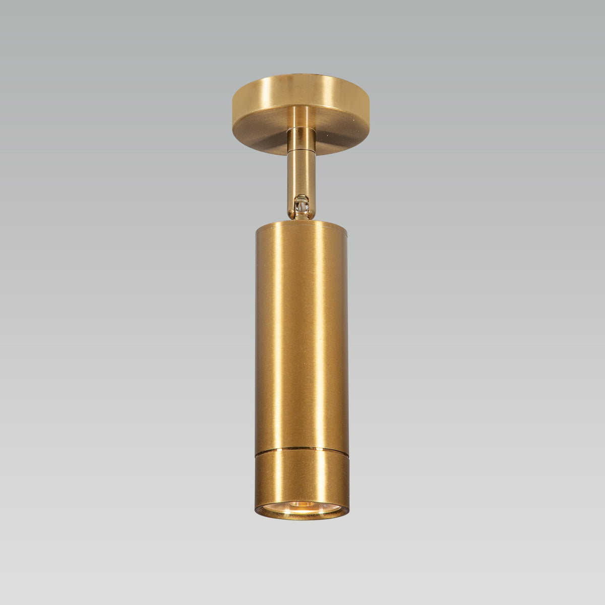 Shop Germany Brass Adjustable LED Spot Light online