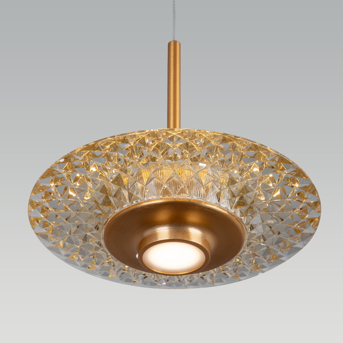 Shop Inmotion LED Pendant Light online