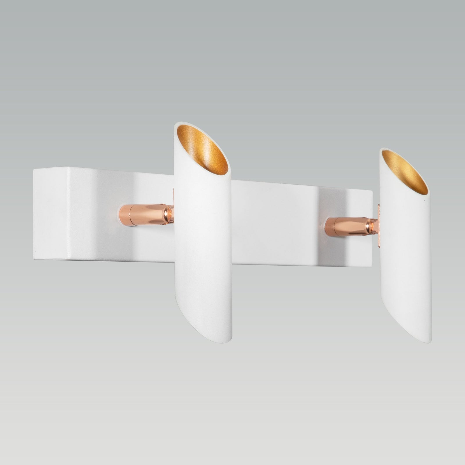 Shop Nebraska Double LED Picture Light online