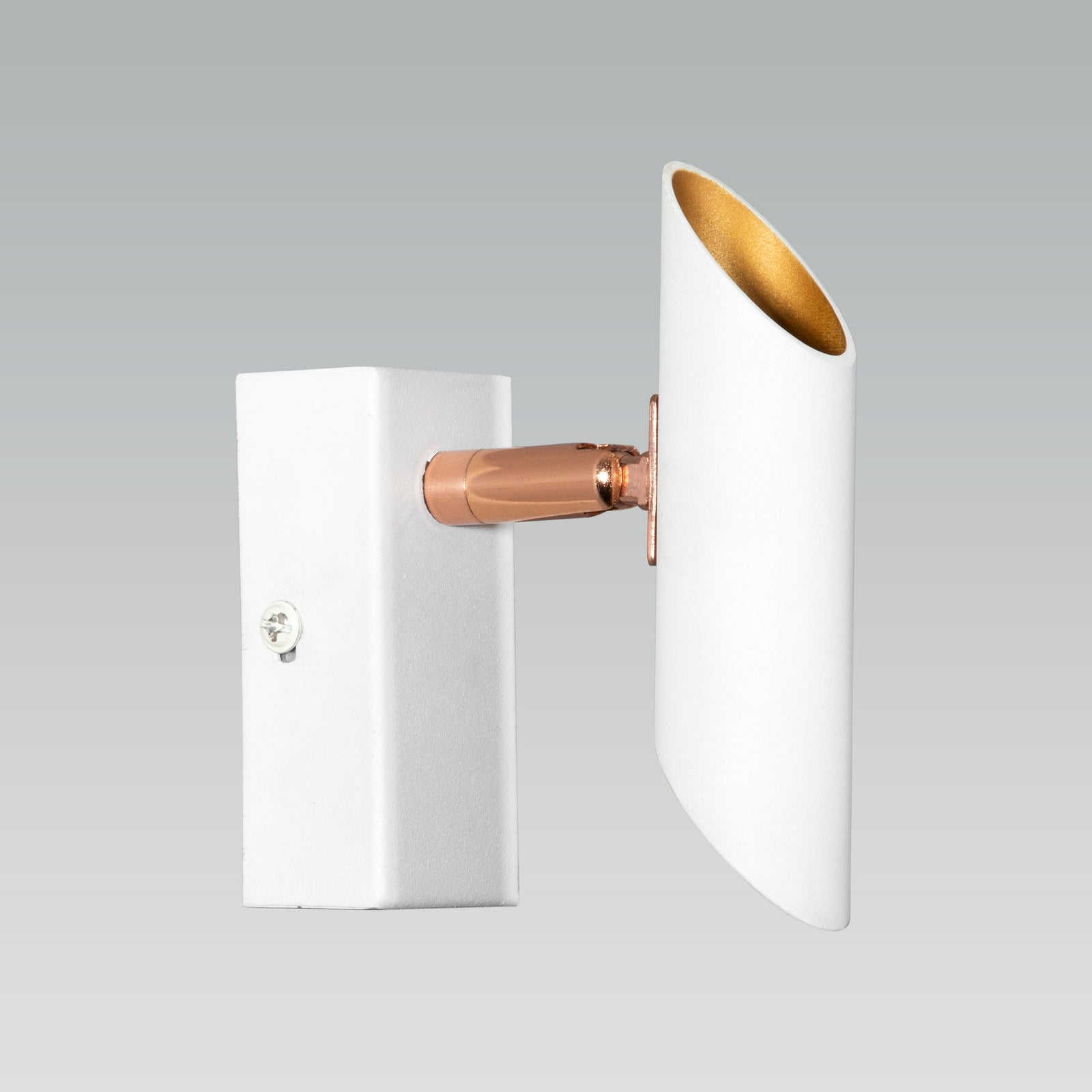 Shop Nebraska Single LED Picture Light online