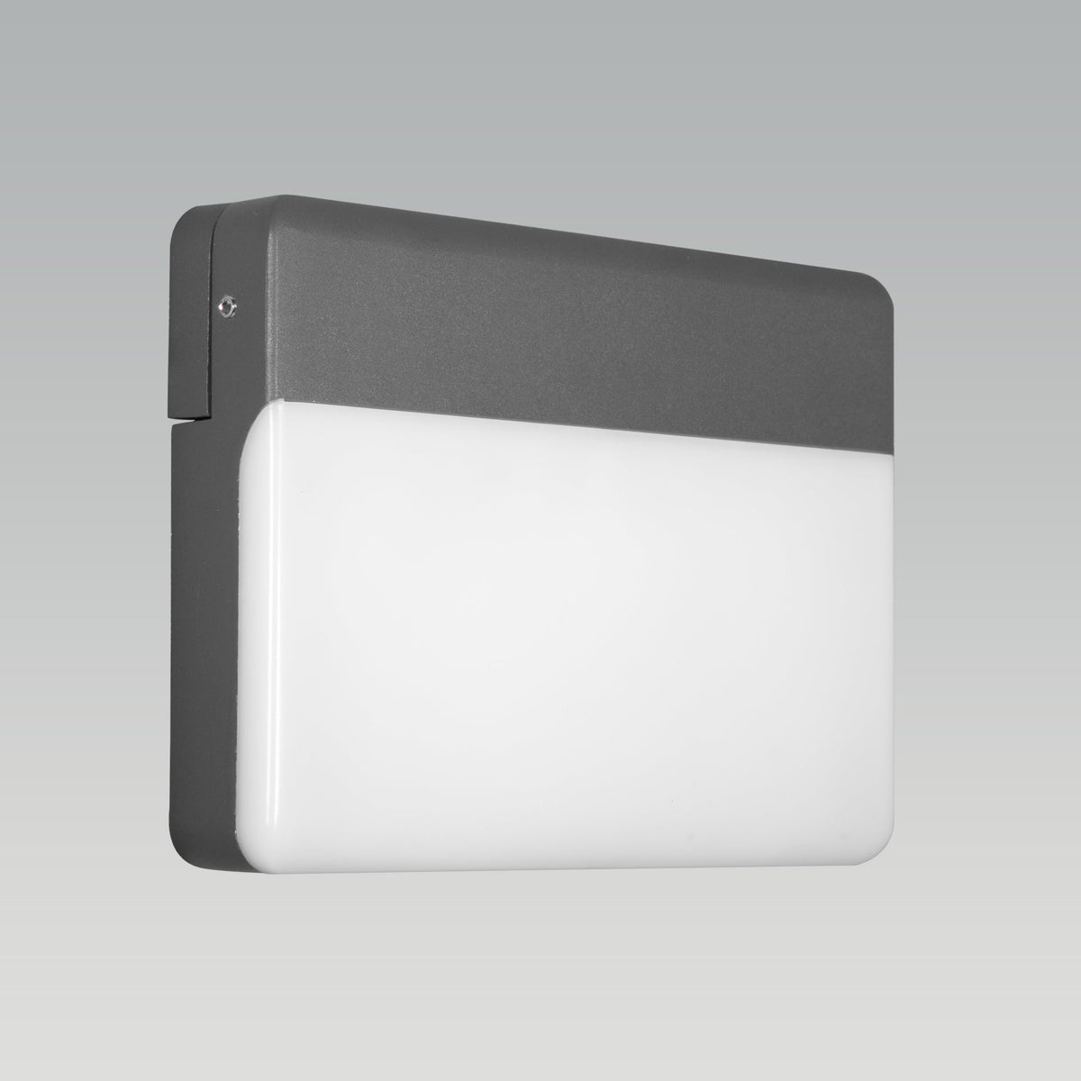 Shop Nerdy Outdoor LED Wall Light online