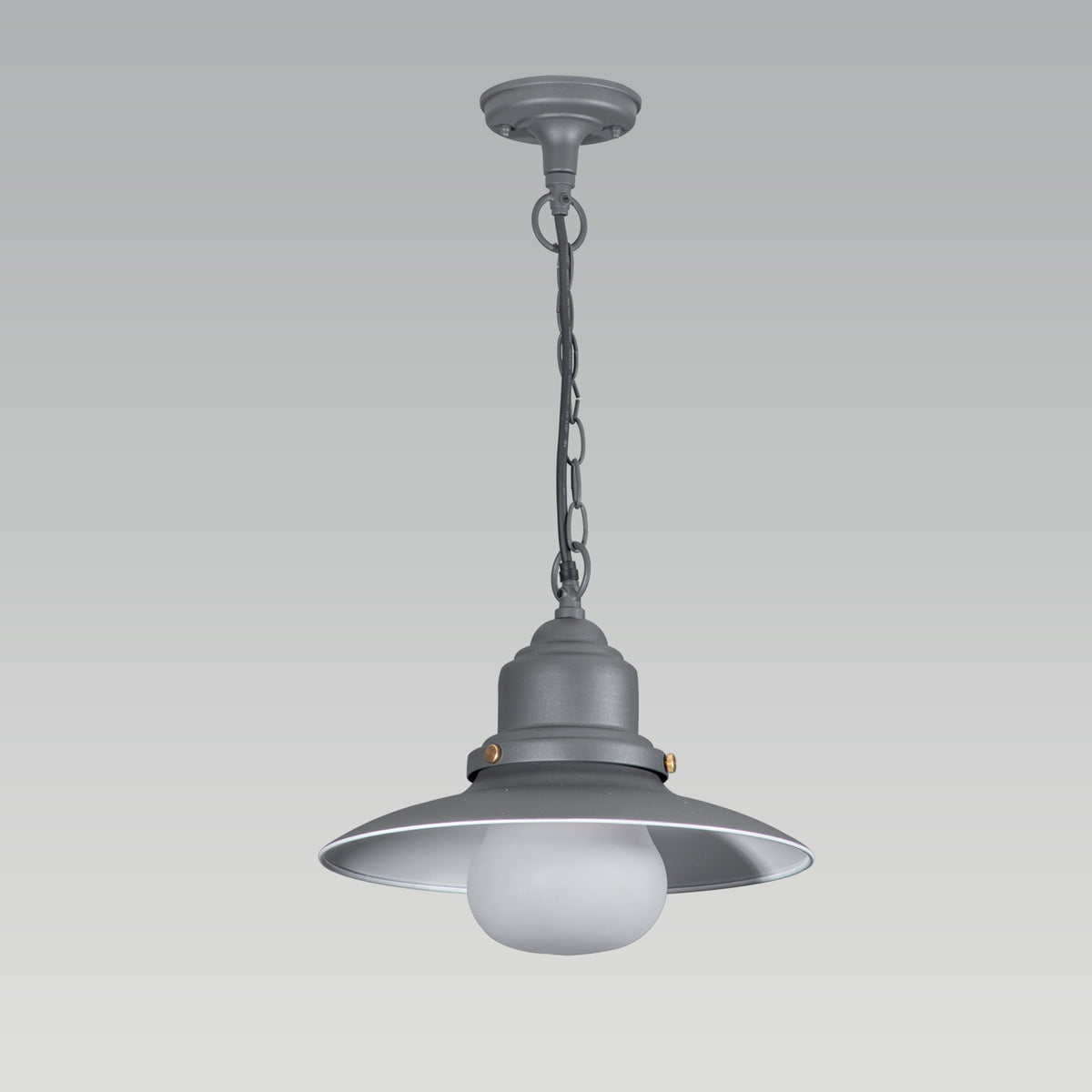 Shop Old School Outdoor Pendant Light online