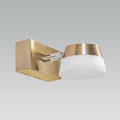 Oris Single LED Mirror Light