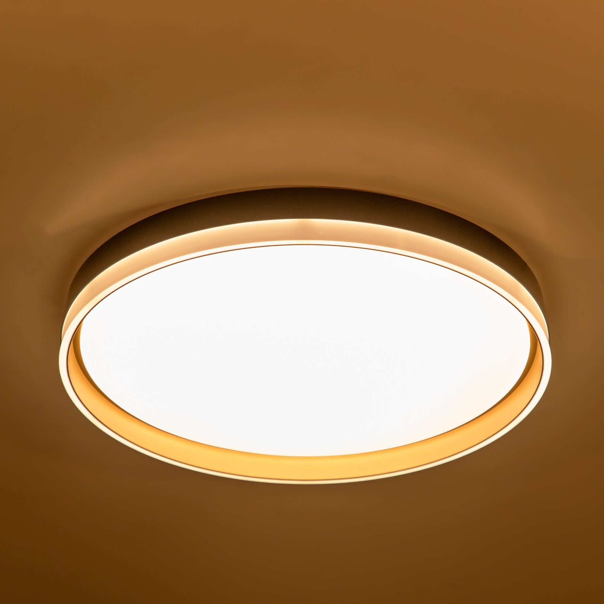 Light In India Ceiling Lights For Living Room India | Cabinets Matttroy