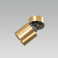 Veyron Brass Adjustable LED Spot Light