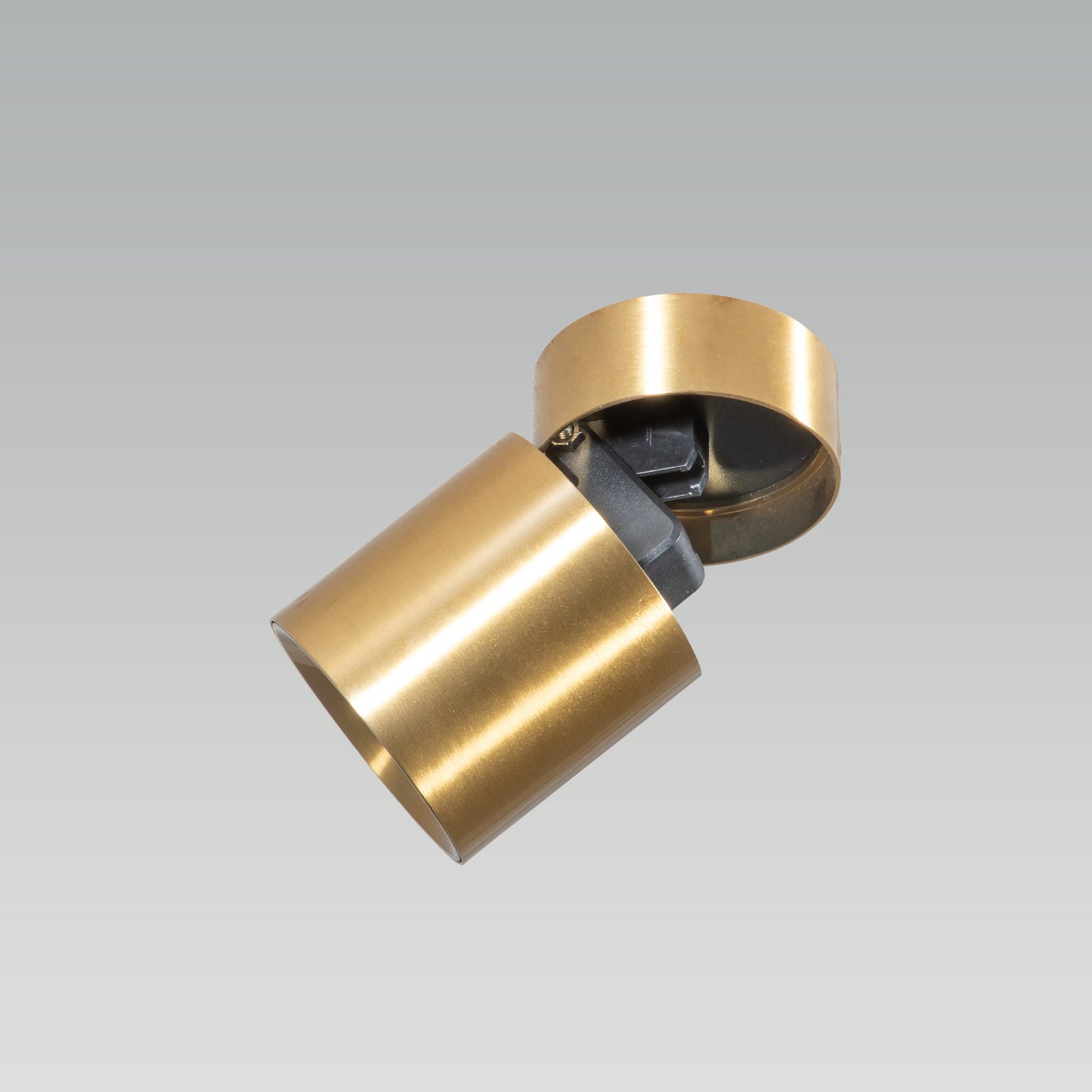 Shop Veyron Brass Adjustable LED Spot Light Focus Light