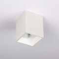 Square Black & White Surface Light