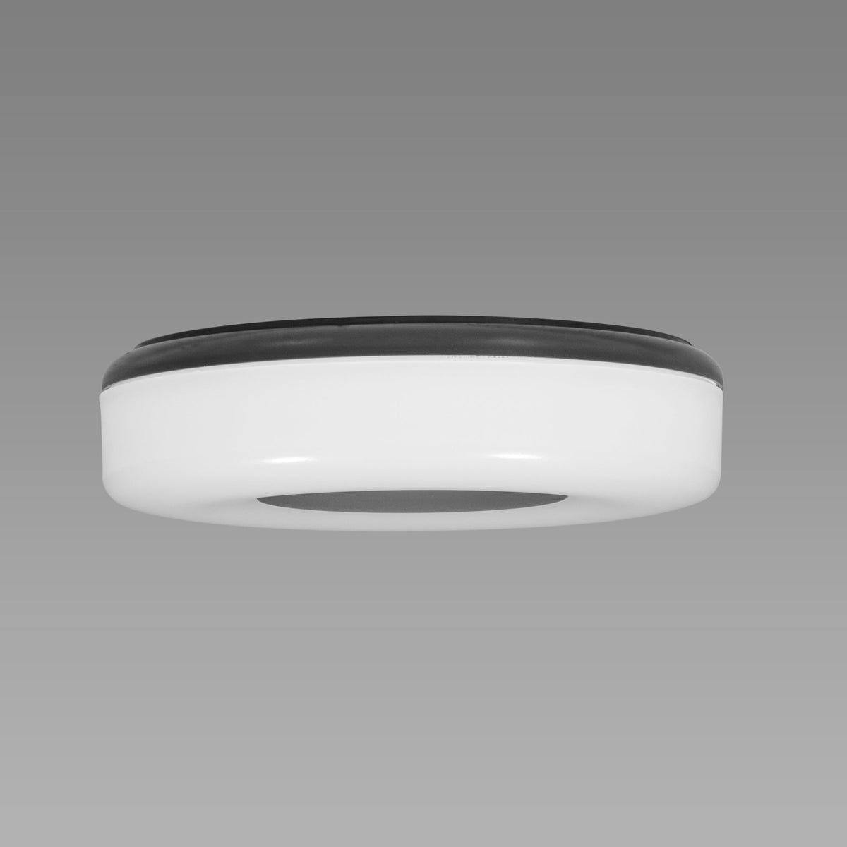 Uncomplicated Medium Outdoor LED Ceiling Light online
