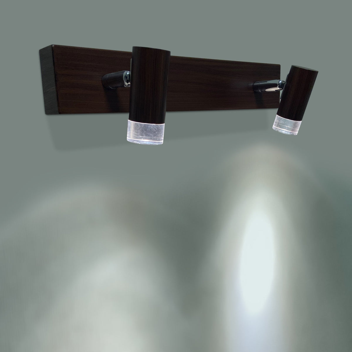 Wood Finish Double LED Picture Light Bangalore