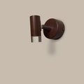 Wood Finish Single LED Picture Light