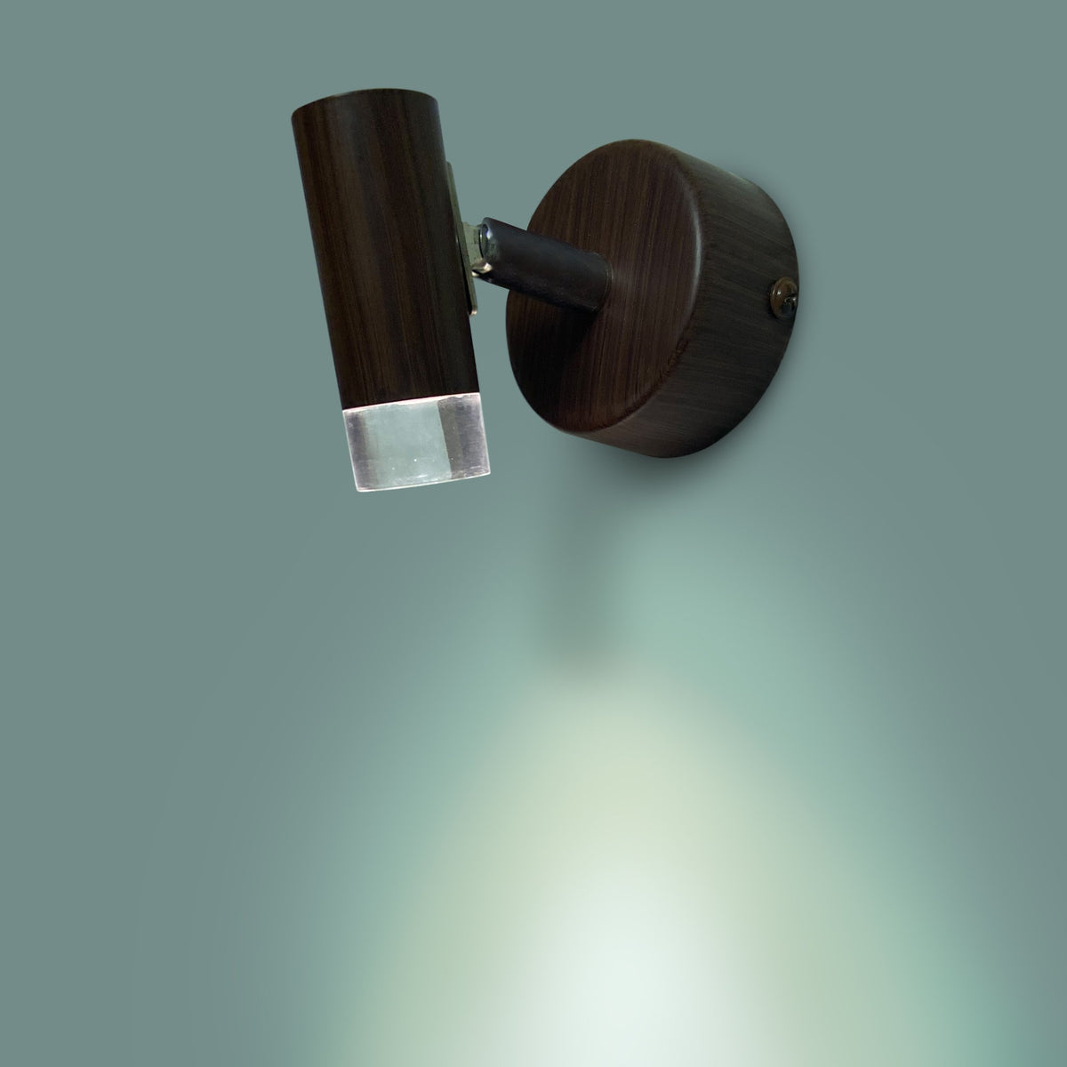 Wood Finish Single LED Picture Light India