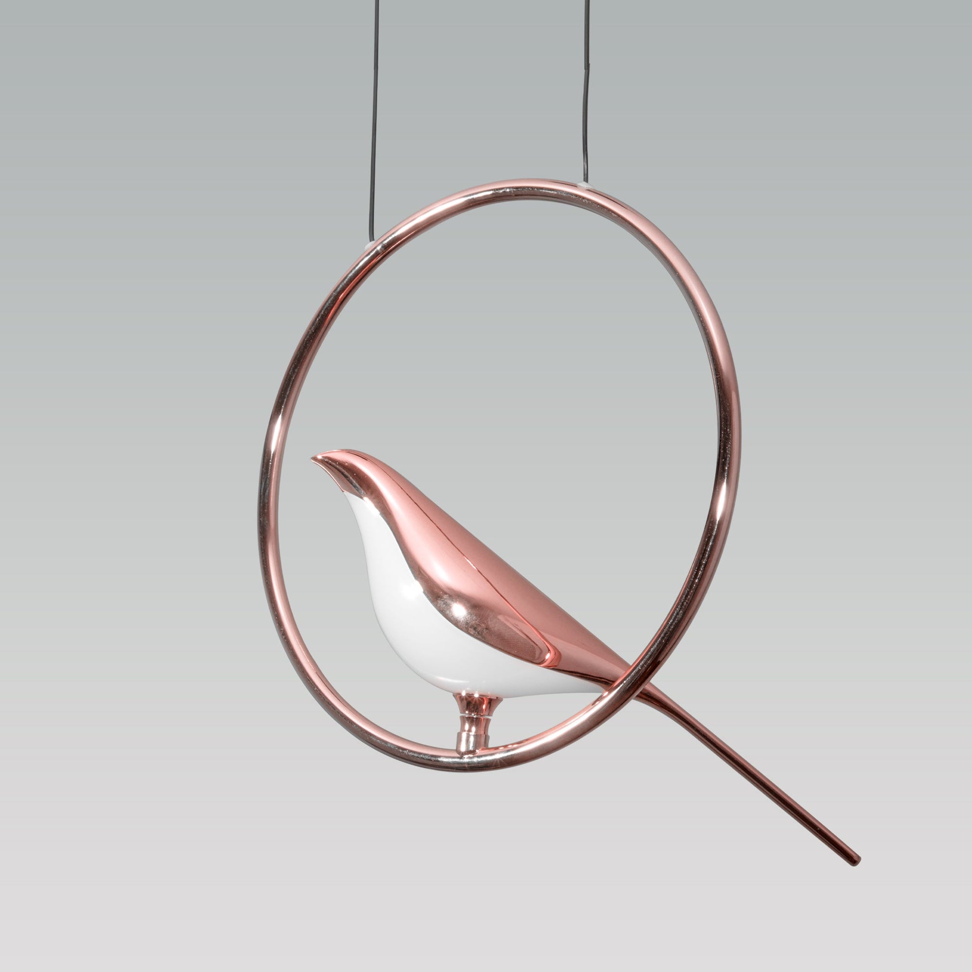 Shop Sparrow LED Pendant Light online